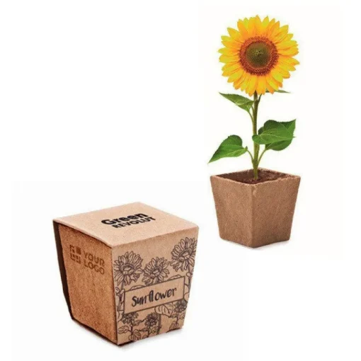 Gift Campaign Vasetto biodegradabile con semi di girasole e terriccio prodotto in UE> Vasetti Con Semi