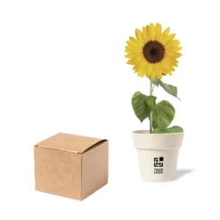 Gift Campaign Vasetto biodegradabile personalizzato con semi di Girasole SunFlower></noscript> Vasetti Con Semi