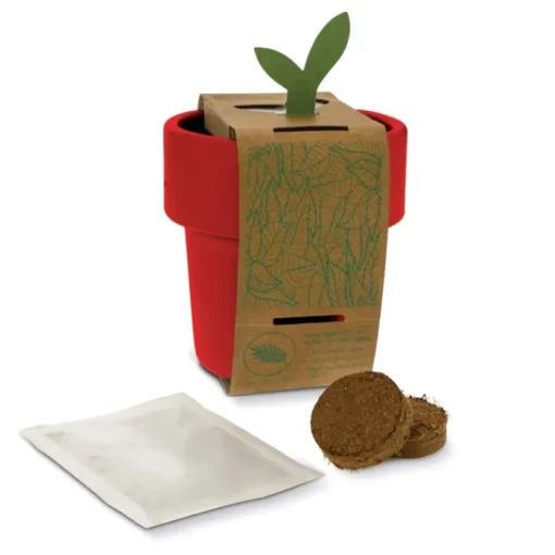 Gift Campaign Vasetto colorato con semi di basilico utilizzabile come tazzina> Vasetti Con Semi