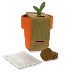 Gift Campaign Vasetto colorato con semi di basilico utilizzabile come tazzina></noscript> Vasetti Con Semi
