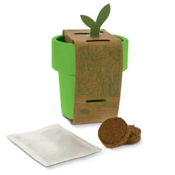 Gift Campaign Vasetto colorato con semi di basilico utilizzabile come tazzina></noscript> Vasetti Con Semi