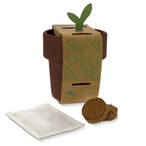 Gift Campaign Vasetto colorato con semi di basilico utilizzabile come tazzina> Vasetti Con Semi