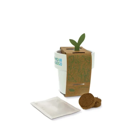 Gift Campaign Vasetto colorato con semi di basilico utilizzabile come tazzina> Vasetti Con Semi
