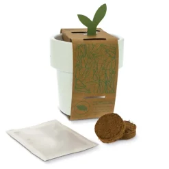 Gift Campaign Vasetto con semi di fragola che si può utilizzare come tazzina> Vasetti Con Semi