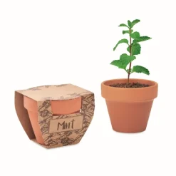 Gift Campaign Vasetto di terracotta con semi di menta e terriccio> Vasetti Con Semi