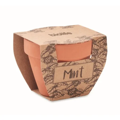 Gift Campaign Vasetto di terracotta con semi di menta e terriccio> Vasetti Con Semi