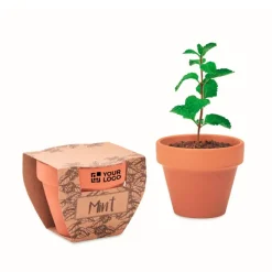 Gift Campaign Vasetto di terracotta con semi di menta e terriccio></noscript> Vasetti Con Semi