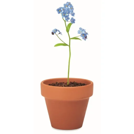 Gift Campaign Vasetto di terracotta personalizzato con semi del fiore Myosotis> Vasetti Con Semi