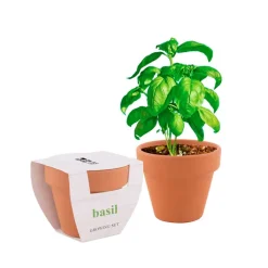 Gift Campaign Vasetto terracotta pubblicitario con terriccio e semi basilico Basil><noscript><img width=